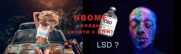 ГАЛЛЮЦИНОГЕННЫЕ ГРИБЫ Инсар