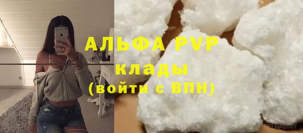 ГАЛЛЮЦИНОГЕННЫЕ ГРИБЫ Инсар