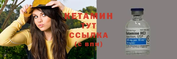 ГАЛЛЮЦИНОГЕННЫЕ ГРИБЫ Инсар