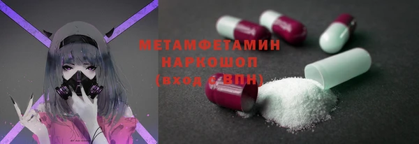 ГАЛЛЮЦИНОГЕННЫЕ ГРИБЫ Инсар