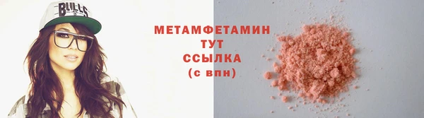 ГАЛЛЮЦИНОГЕННЫЕ ГРИБЫ Инсар