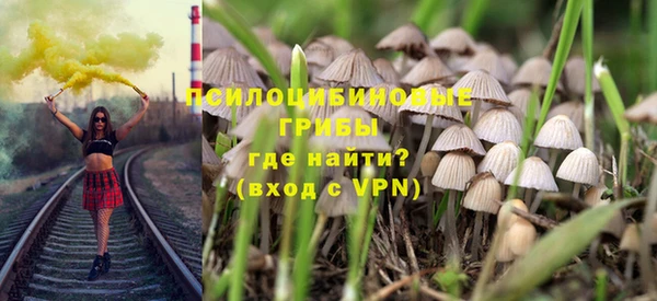 ГАЛЛЮЦИНОГЕННЫЕ ГРИБЫ Инсар