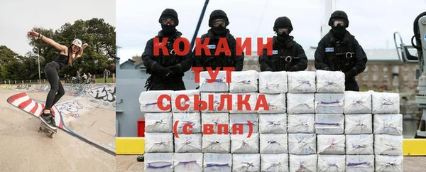 ГАЛЛЮЦИНОГЕННЫЕ ГРИБЫ Инсар