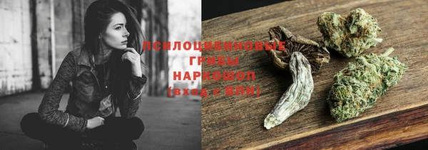 ГАЛЛЮЦИНОГЕННЫЕ ГРИБЫ Инсар