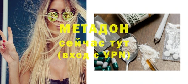 ГАЛЛЮЦИНОГЕННЫЕ ГРИБЫ Инсар